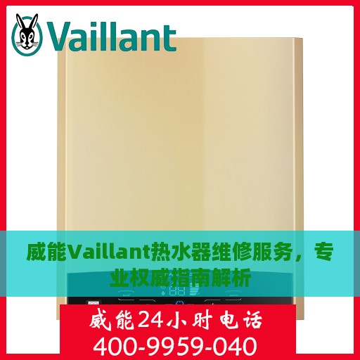威能Vaillant热水器维修服务，专业权威指南解析