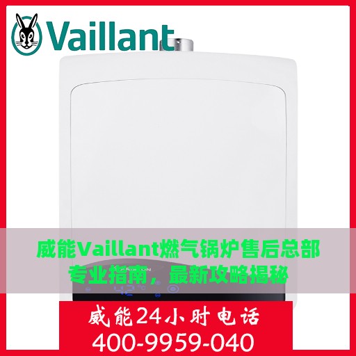 威能Vaillant燃气锅炉售后总部专业指南，最新攻略揭秘