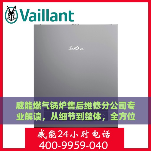 威能燃气锅炉售后维修分公司专业解读，从细节到整体，全方位了解您的锅炉维修需求