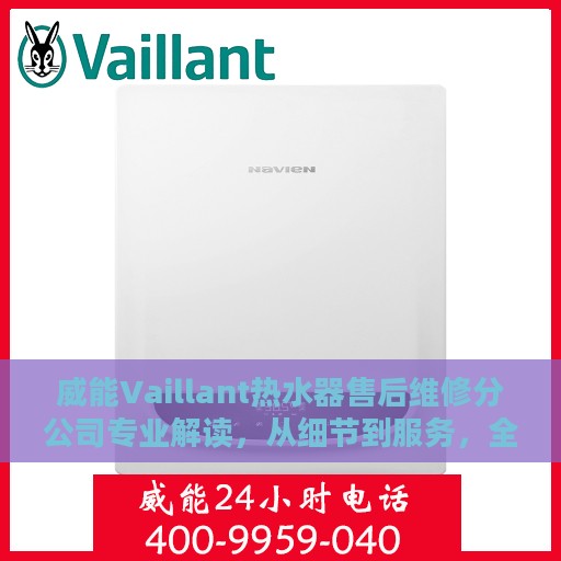 威能Vaillant热水器售后维修分公司专业解读，从细节到服务，全方位解析热水器维修秘籍