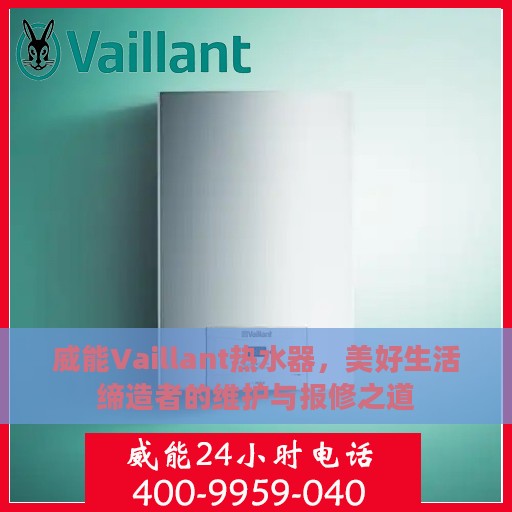 威能Vaillant热水器，美好生活缔造者的维护与报修之道