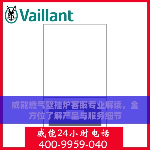 威能燃气壁挂炉客服专业解读，全方位了解产品与服务细节