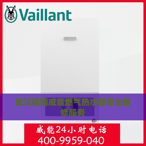 武汉德国威能燃气热水器专业维修服务