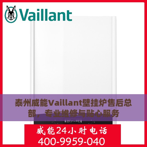 泰州威能Vaillant壁挂炉售后总部，专业维修与贴心服务