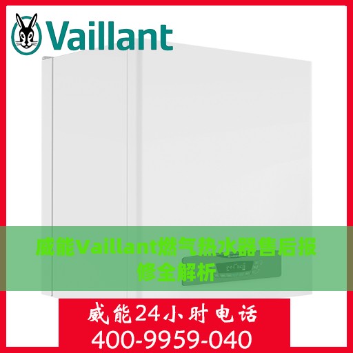 威能Vaillant燃气热水器售后报修全解析