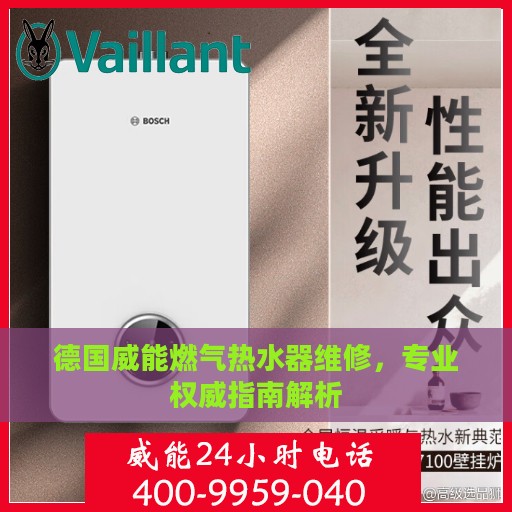 德国威能燃气热水器维修，专业权威指南解析