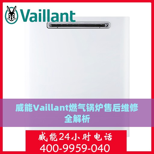 威能Vaillant燃气锅炉售后维修全解析