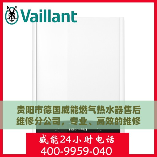 贵阳市德国威能燃气热水器售后维修分公司，专业、高效的维修服务体验