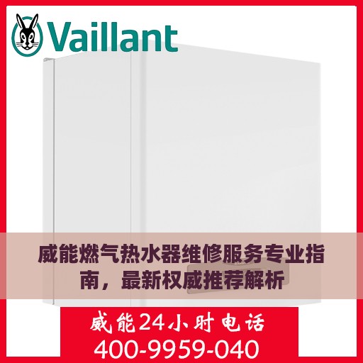 威能燃气热水器维修服务专业指南，最新权威推荐解析
