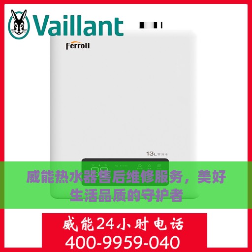 威能热水器售后维修服务，美好生活品质的守护者