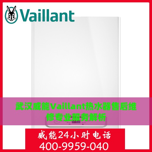 武汉威能Vaillant热水器售后维修专业服务解析