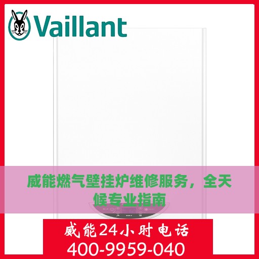 威能燃气壁挂炉维修服务，全天候专业指南