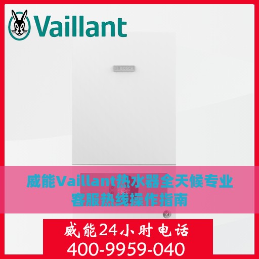 威能Vaillant热水器全天候专业客服热线操作指南