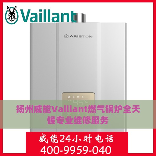 扬州威能Vaillant燃气锅炉全天候专业维修服务