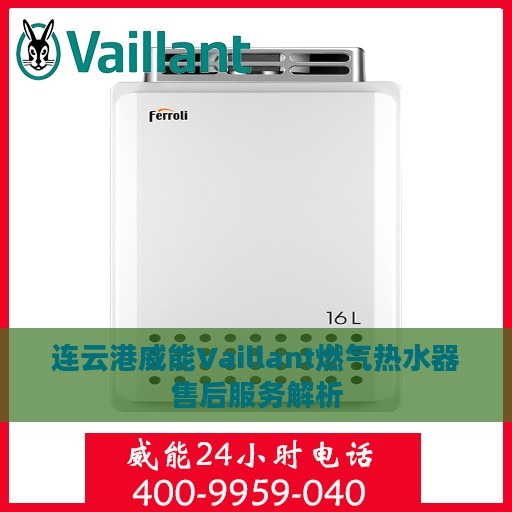 连云港威能Vaillant燃气热水器售后服务解析