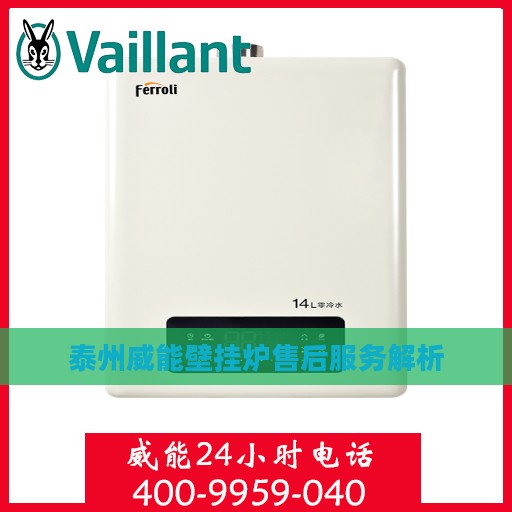 泰州威能壁挂炉售后服务解析