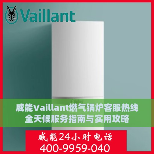 威能Vaillant燃气锅炉客服热线全天候服务指南与实用攻略