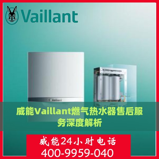威能Vaillant燃气热水器售后服务深度解析