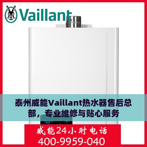 泰州威能Vaillant热水器售后总部，专业维修与贴心服务