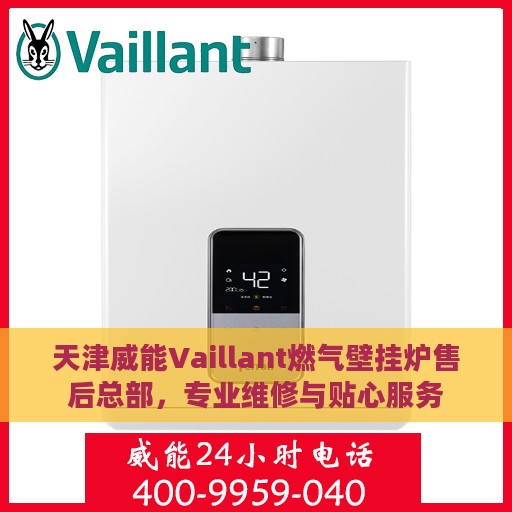 天津威能Vaillant燃气壁挂炉售后总部，专业维修与贴心服务