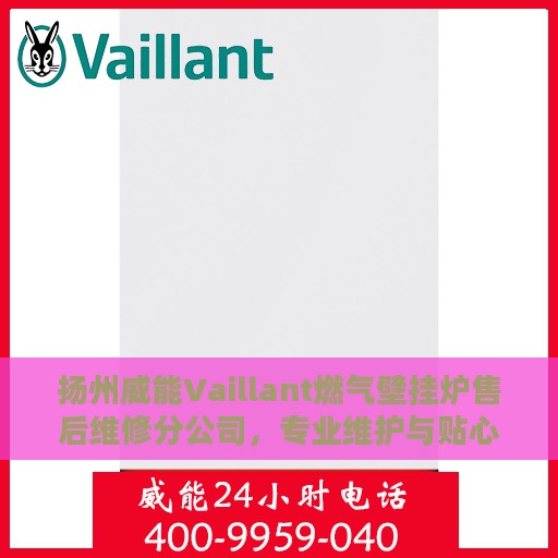 扬州威能Vaillant燃气壁挂炉售后维修分公司，专业维护与贴心服务