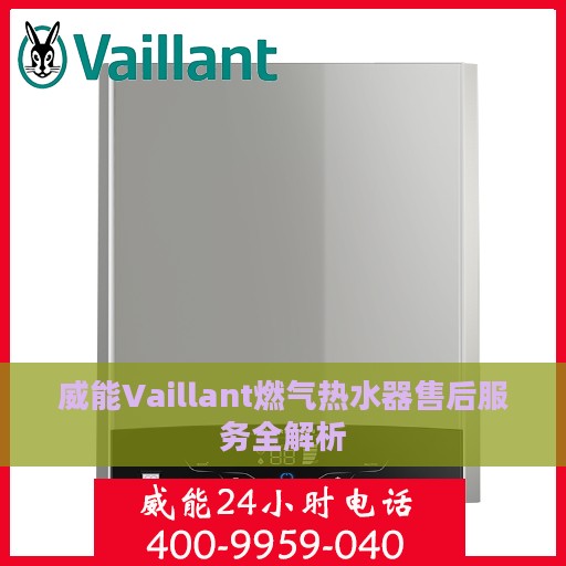 威能Vaillant燃气热水器售后服务全解析
