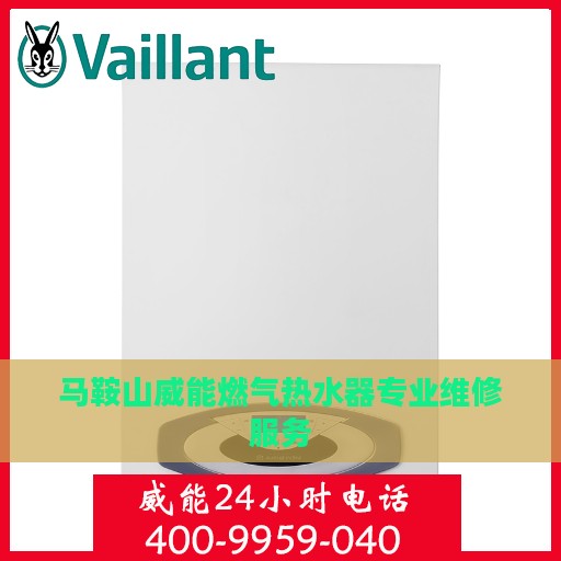 马鞍山威能燃气热水器专业维修服务