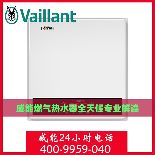 威能燃气热水器全天候专业解读