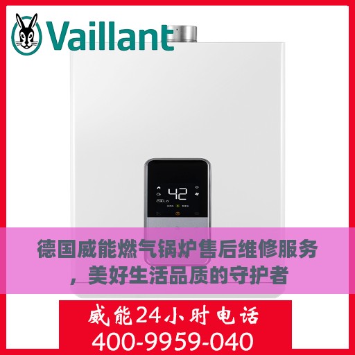 德国威能燃气锅炉售后维修服务，美好生活品质的守护者