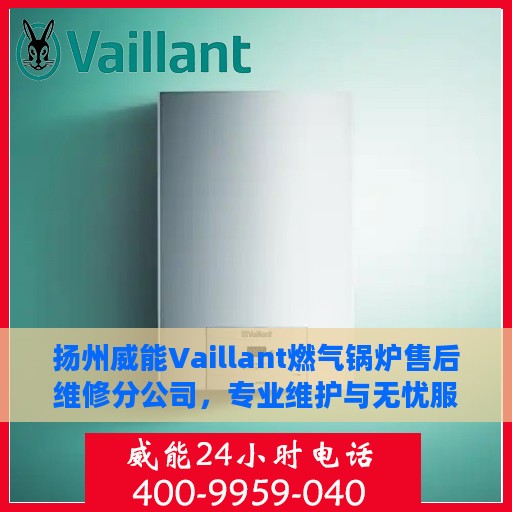 扬州威能Vaillant燃气锅炉售后维修分公司，专业维护与无忧服务体验