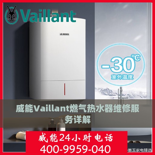 威能Vaillant燃气热水器维修服务详解