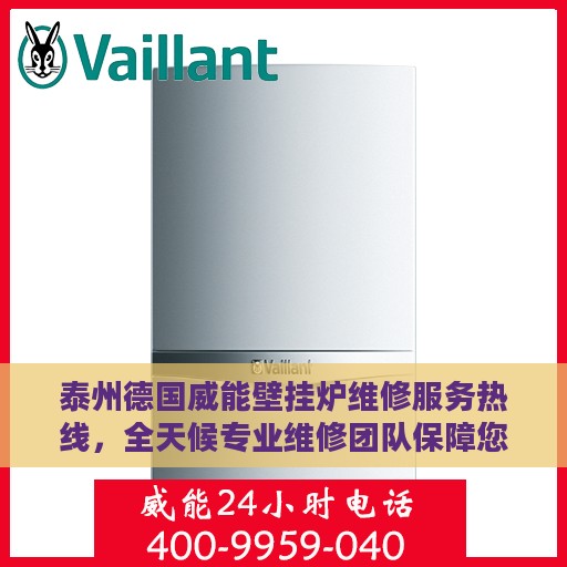 泰州德国威能壁挂炉维修服务热线，全天候专业维修团队保障您的温暖生活