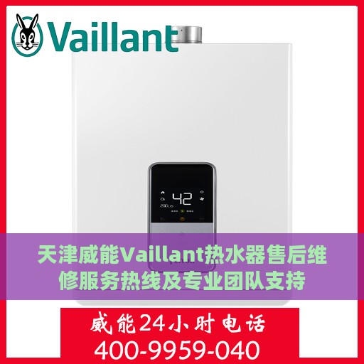 天津威能Vaillant热水器售后维修服务热线及专业团队支持