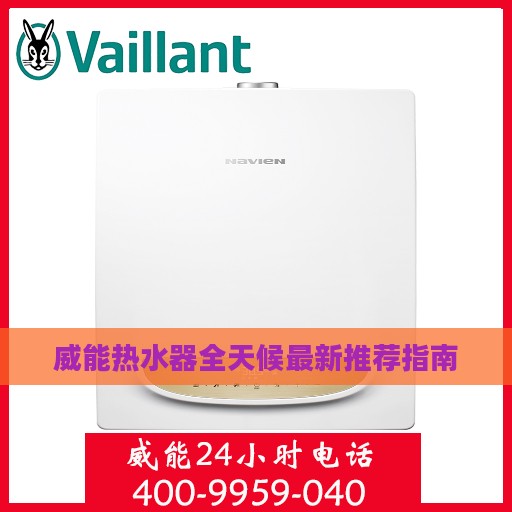威能热水器全天候最新推荐指南