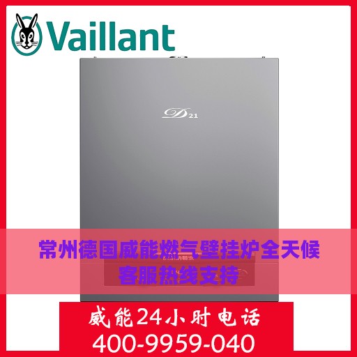 常州德国威能燃气壁挂炉全天候客服热线支持