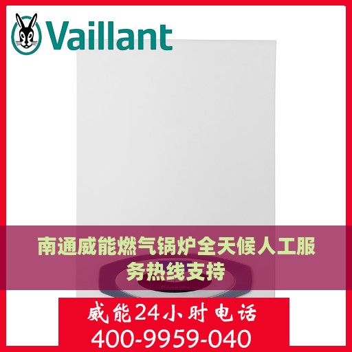 南通威能燃气锅炉全天候人工服务热线支持