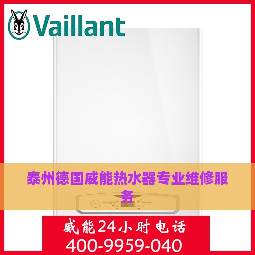 泰州德国威能热水器专业维修服务