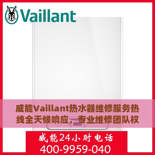 威能Vaillant热水器维修服务热线全天候响应，专业维修团队权威指南