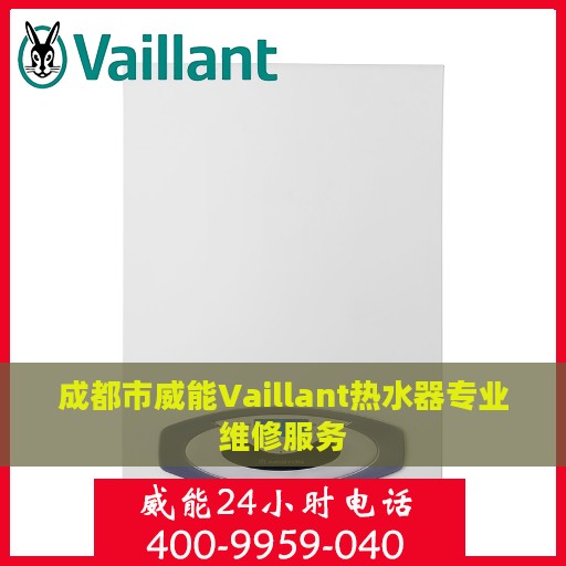 成都市威能Vaillant热水器专业维修服务