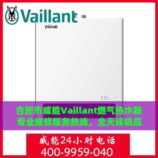 合肥市威能Vaillant燃气热水器专业维修服务热线，全天候响应！