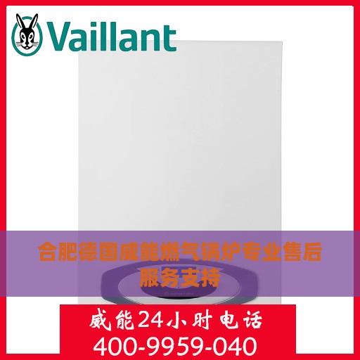 合肥德国威能燃气锅炉专业售后服务支持