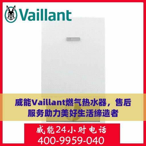 威能Vaillant燃气热水器，售后服务助力美好生活缔造者