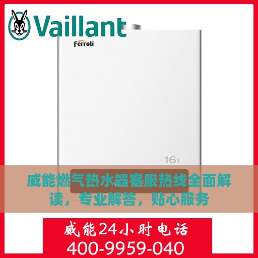威能燃气热水器客服热线全面解读，专业解答，贴心服务