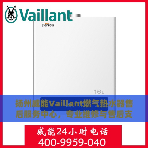 扬州威能Vaillant燃气热水器售后服务中心，专业维修与售后支持