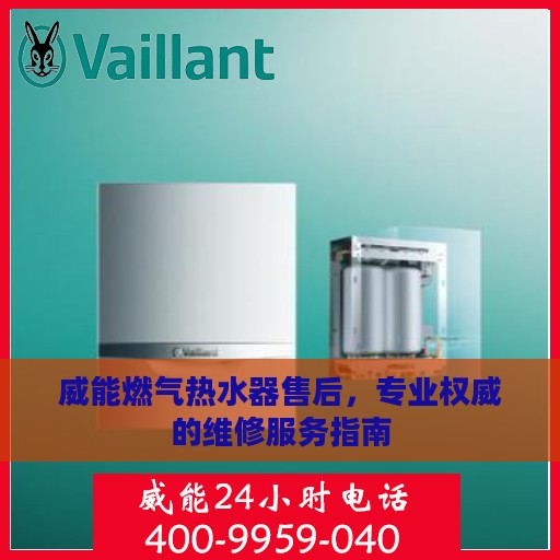 威能燃气热水器售后，专业权威的维修服务指南