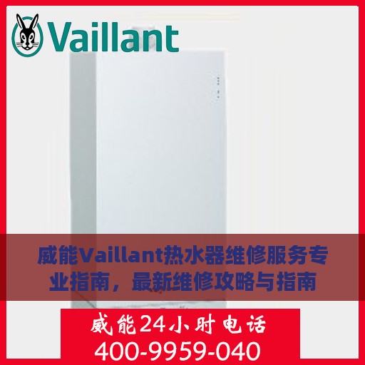 威能Vaillant热水器维修服务专业指南，最新维修攻略与指南