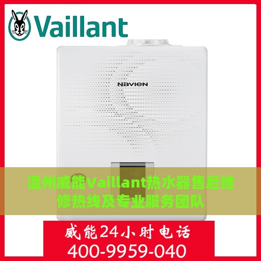 温州威能Vaillant热水器售后维修热线及专业服务团队