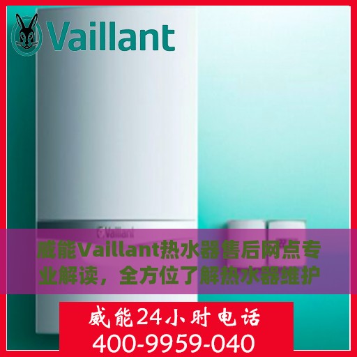 威能Vaillant热水器售后网点专业解读，全方位了解热水器维护与保养