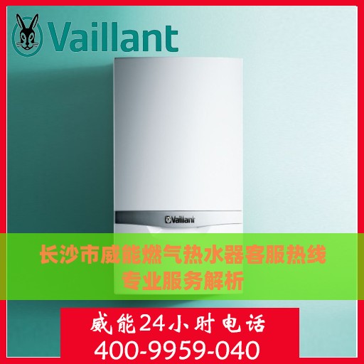 长沙市威能燃气热水器客服热线专业服务解析