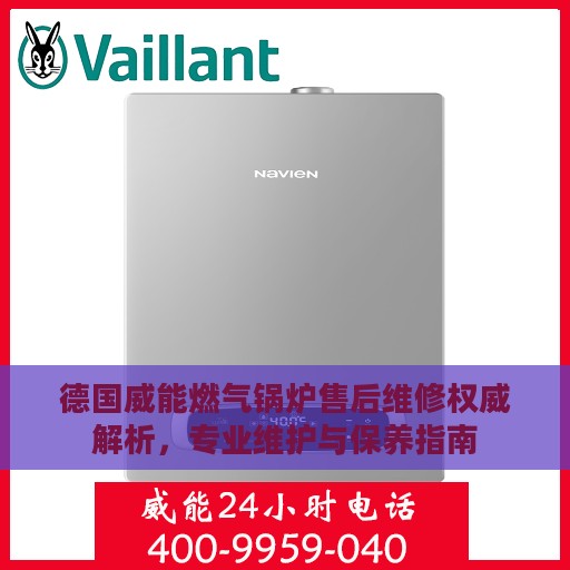 德国威能燃气锅炉售后维修权威解析，专业维护与保养指南